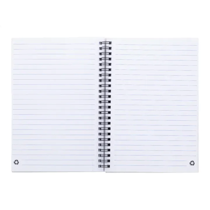 Notebook - AP800194 (ANDA#01)